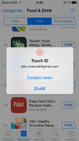 iPhone 5s Touch ID iPhone 5s Touch ID