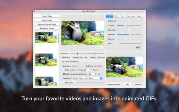 video gif creator